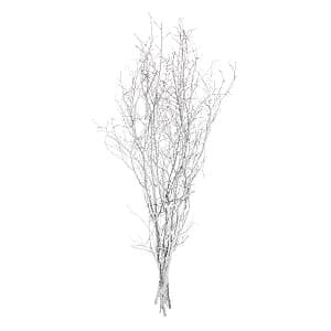 Kuru Bitki, Gürgen Dalı, Beyaz - 60-80 cm