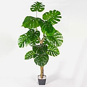 Yapay Ağaç, Monstera-Deve Tabanı, Gerçek Dokulu, Yeşil - 16 Yaprak, 160 cm