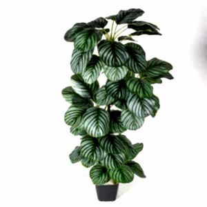 Yapay Ağaç, Ararot-Arrowroot, Gerçek Dokulu, Yeşil - 64 Yaprak, 120 cm