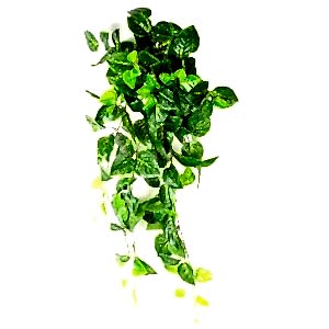 Yapay Asılabilir Sarmaşık, Perilla-Biftek Otu, Gerçek Dokulu, Yeşil - 82 cm