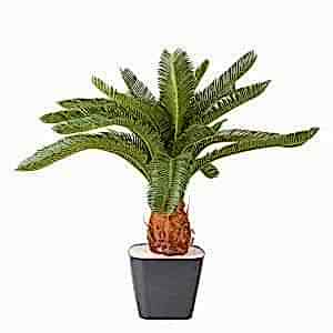 Yapay Çikas - Cycas Ağacı, Yeşil - 25 Yapraklı, 72 cm