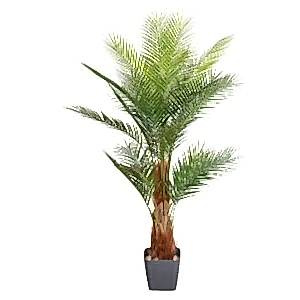 Yapay Palmiye Ağacı, Yeşil - 24 Yapraklı, 160 cm