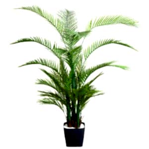 Yapay Palmiye Ağacı, Yeşil - 34 Yapraklı, 160 cm