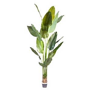 Yapay Starliçe Ağacı, Gerçek Dokunuş, Yeşil - 16 Yaprak, 240 cm