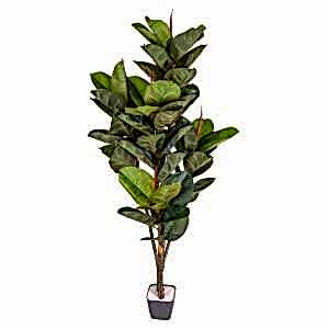 Yapay Kauçuk Ağacı, Gerçek Dokulu, Yeşil - 57 Yaprak, 150 cm