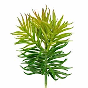 Yapay Çiçek, Kaktüs Sukulent, Yeşil - 15 cm