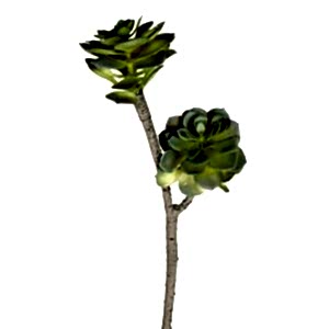 Yapay Sukulent Kaktüs, Yeşil - 50 cm