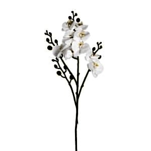 Yapay Çiçek, Orkide, Gerçek Dokulu, Beyaz - 80 cm