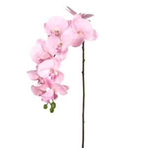 Yapay Çiçek, Orkide, Gerçek Dokulu, Pembe - 95 cm