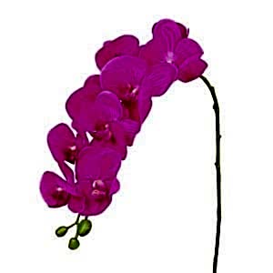 Yapay Çiçek, Orkide, Gerçek Dokulu, Fuşya - 90 cm