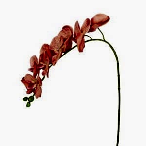 Yapay Çiçek, Orkide, Gerçek Dokulu, Somon - 95 cm