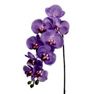 Yapay Çiçek, Orkide, Gerçek Dokulu, Lila - 95 cm