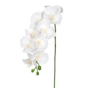Yapay Çiçek, Orkide, Gerçek Dokulu, Beyaz - 95 cm