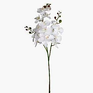 Yapay Çiçek, Orkide, 3 Dallı, Beyaz - 118 cm