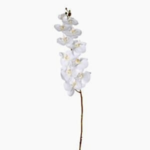 Yapay Çiçek, Orkide, Beyaz - 115 cm