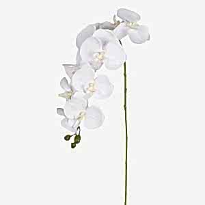Yapay Çiçek, Orkide, Beyaz - 95 cm