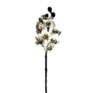 Yapay Çiçek, Orkide, Gerçek Dokulu, Beyaz - 75 cm