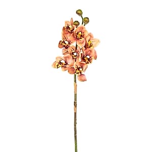 Yapay Çiçek, Orkide, Gerçek Dokulu, Somon - 75 cm