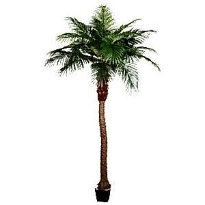 Yapay Phoenix Palmiye Ağacı, Gerçek Dokulu - 21 Yaprak, 260 cm