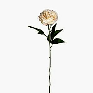 Yapay Çiçek, Şakayık, Krem - 70 cm