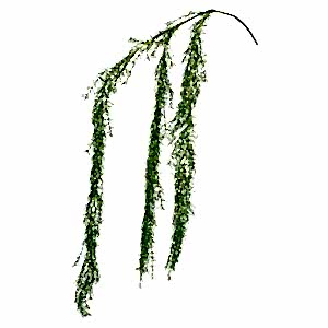 Yapay Sarmaşık, Biberiye, Yeşil - 90 cm