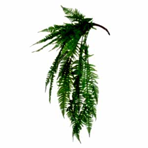 Yapay Fujer, Aşk Merdiveni, Yeşil - 100 cm