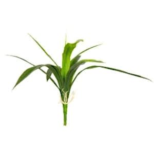 Yapay Çiçek, Orkide Yaprağı, Yeşil - 40 cm