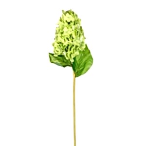 Yapay Ortanca, Islak Dokulu, Yeşil - 70 cm