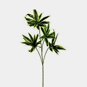 Yapay Dracena Bitkisi, Yeşil-Sarı - 75 cm