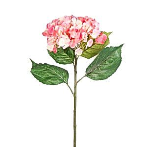 Yapay Çiçek, Ortanca, Pembe/Krem - 81 cm
