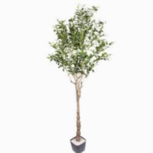 Yapay Zeytin Ağacı, Yeşil - 1122 Yaprak, 180 cm