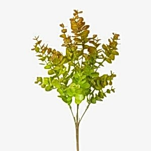 Yapay Bitki, Okaliptus, Kızıl-Yeşil - 40 cm