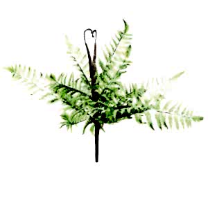 Yapay Bitki, Fujer/Eğrelti Otu - 55 cm